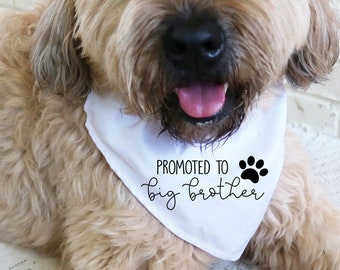 promoted to big brother sister bandana- baby announcement idea for dog- dog bandana for large medium and small dogs- pregnancy reveal pet