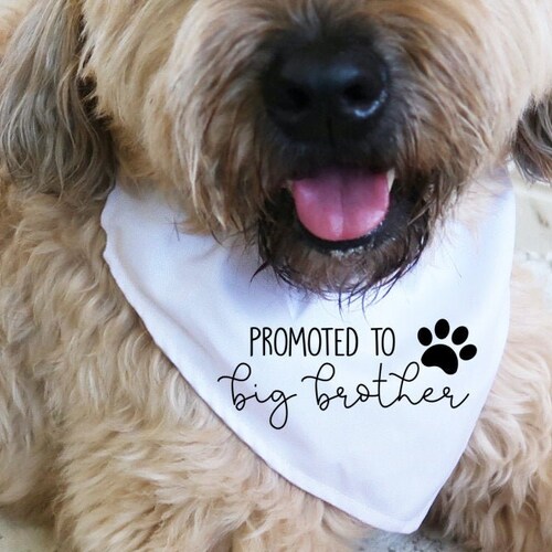 Promoted to Big Brother Sister Bandana Baby Announcement Idea Etsy