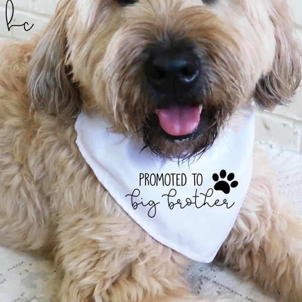 promoted to big brother sister bandana- baby announcement idea for dog- dog bandana for large medium and small dogs- pregnancy reveal pet