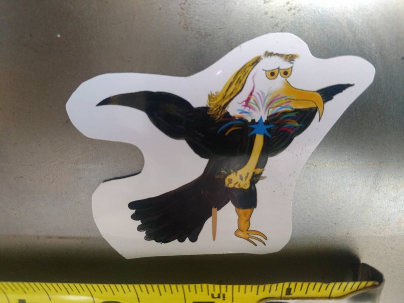 eagle with mullet