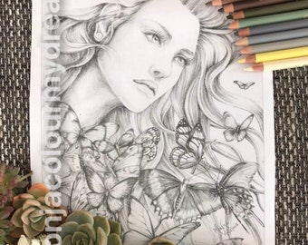 Páginas CMD Papillon Dark