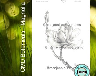 Puede incluir: Un dibujo a lápiz en blanco y negro de una flor de magnolia. El dibujo está sobre un fondo blanco e incluye el texto "CMD Botanicals - Magnolia" y "@monjacolourmydreams".