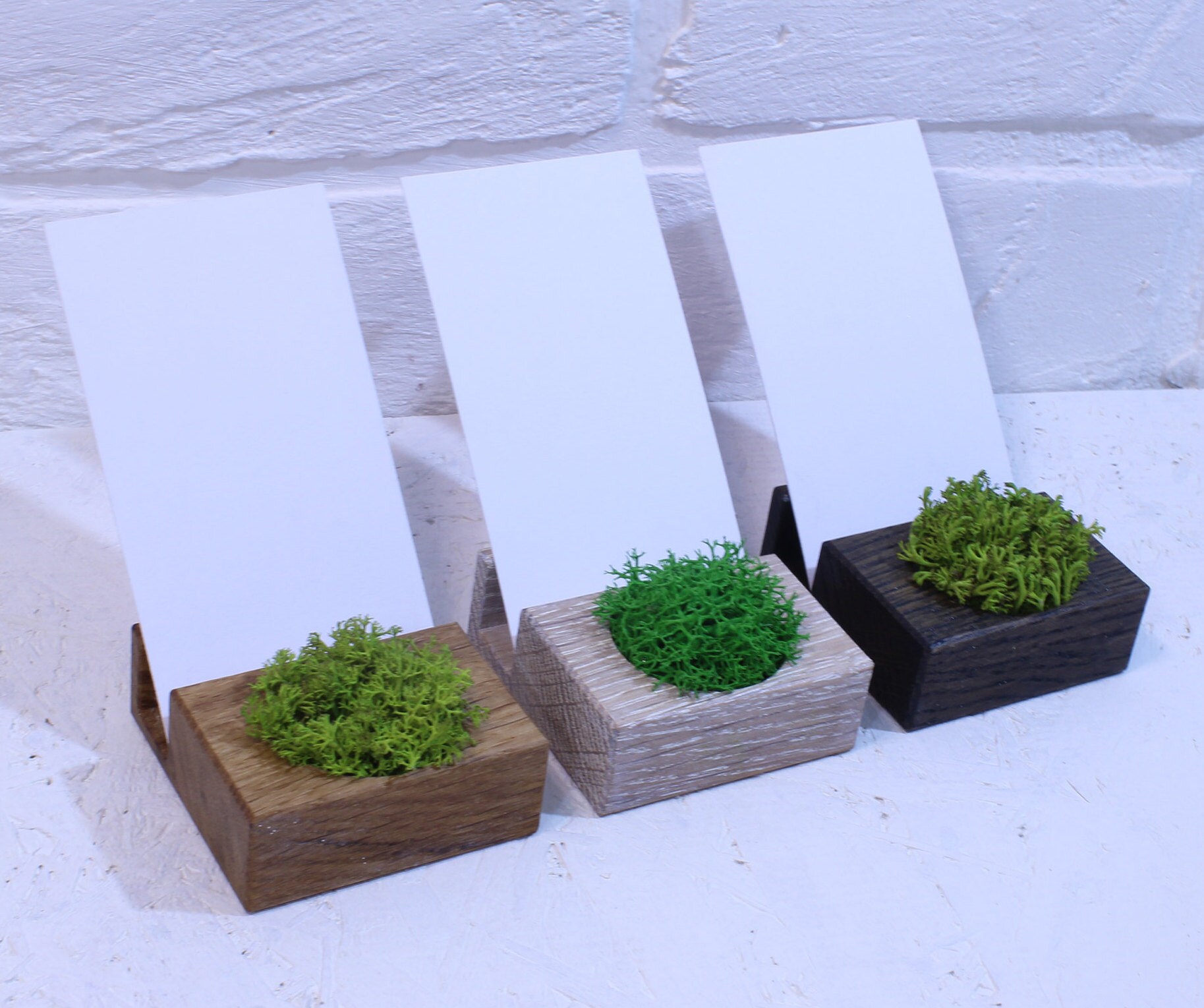 Vertical Business Card Holder Desk Stand Decor Plant Office Etsy