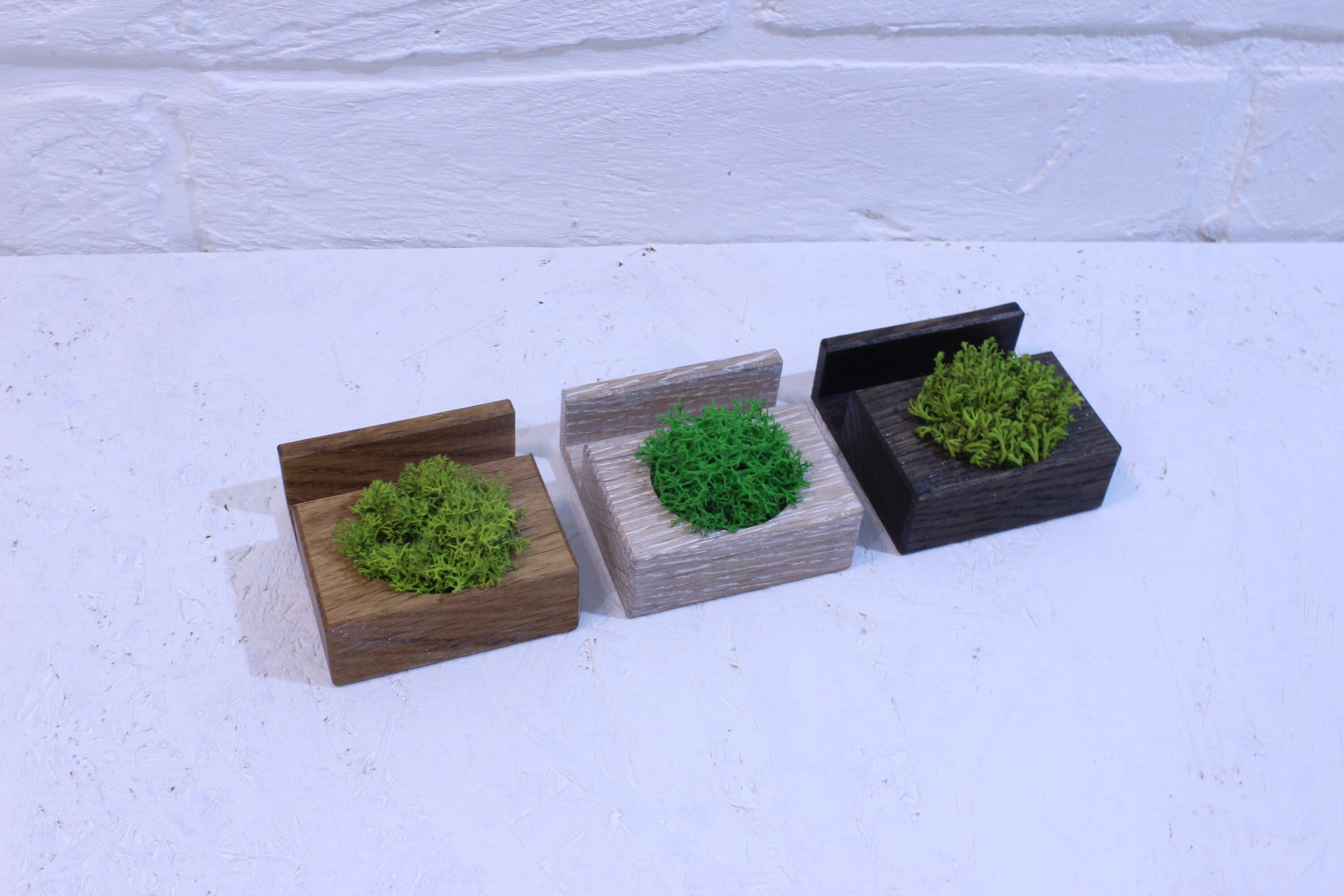 Vertical Business Card Holder Desk Stand Decor Plant Office Etsy