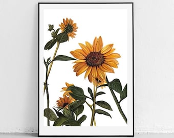 Sunflower. Original watercolor painting.