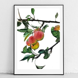 Albero di mele. Acquarello originale.