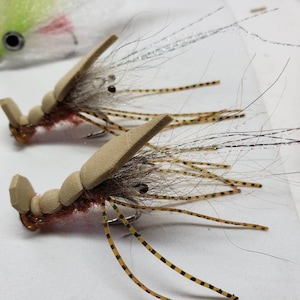 Saltwater Flies Floating rattle shrimp size 2 .