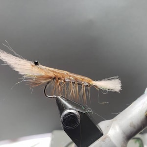 May include: A detailed close-up of a handmade fishing fly, designed to mimic a shrimp. The fly features a curved hook, tan body, and white, fluffy accents. The fly is secured in a vise, showcasing the intricate craftsmanship.