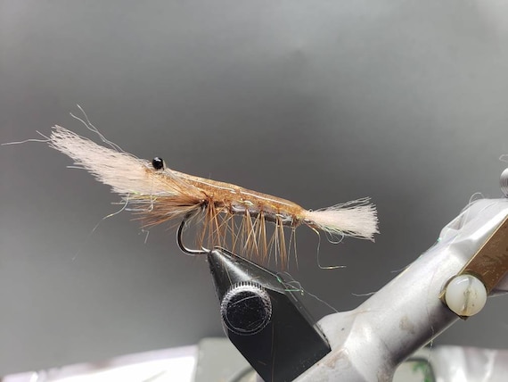 Mouche de sébaste cobaye : modèle de crevettes de crabe d