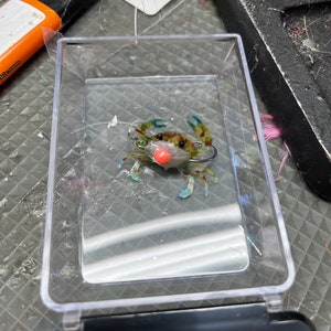 May include: A green, blue and orange plastic crab lure with a red bead for fishing.