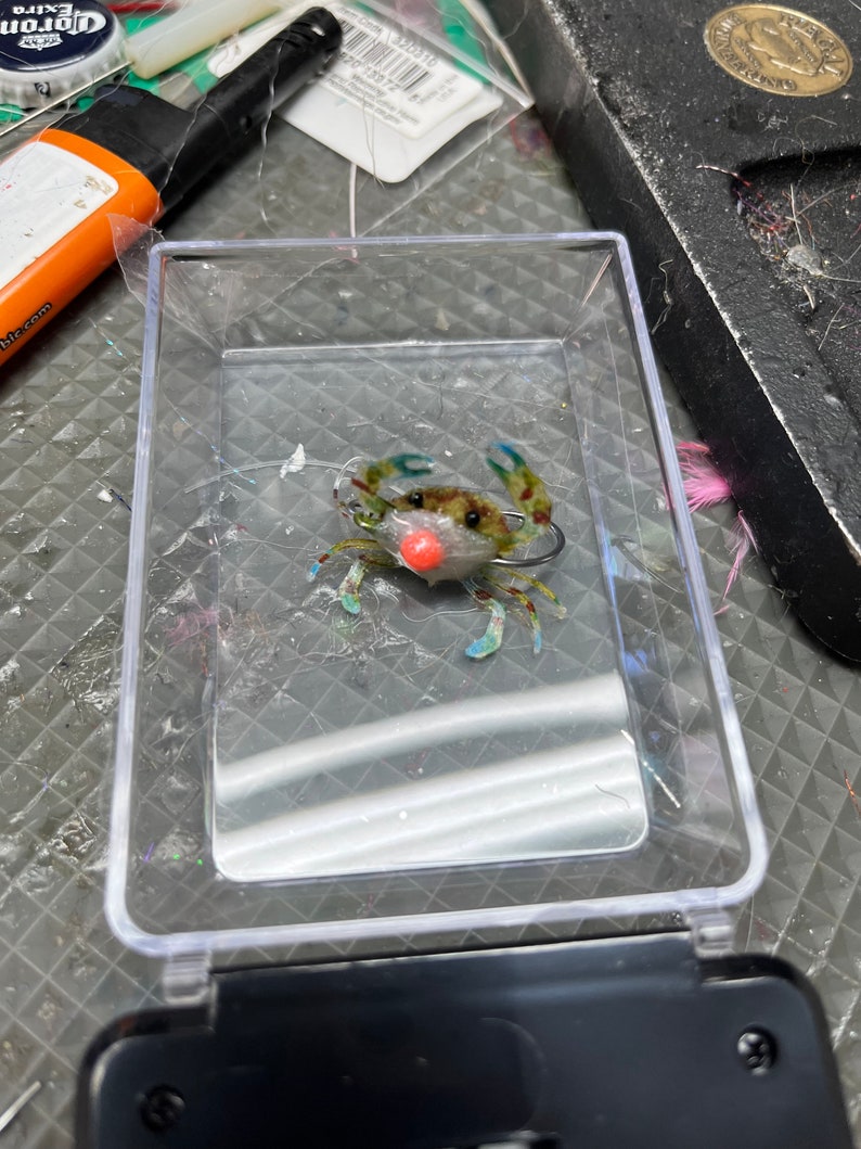 May include: A green, blue and orange plastic crab lure with a red bead for fishing.