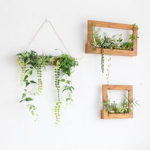 Hanging Greenery 