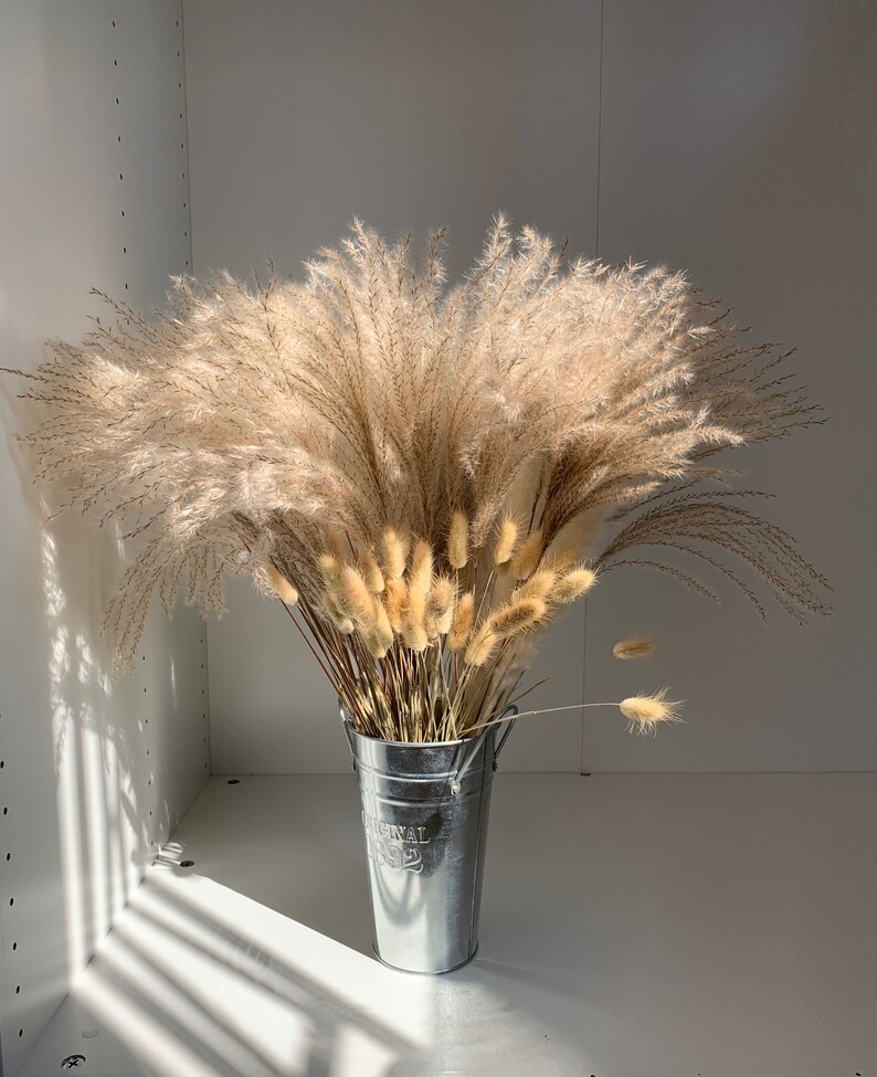 Real Pampas Grass / Natural Dried Pampas Grass Decor/ Wedding Etsy
