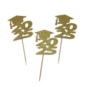 2025 with Graduation Cap Cupcake Toppers - set of 6