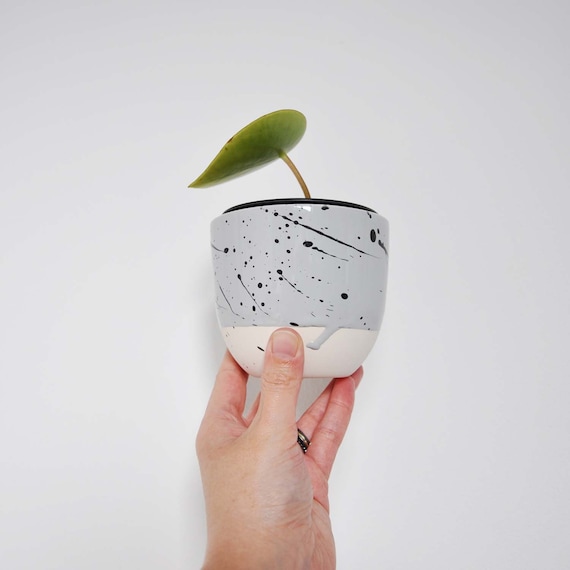 Handmade Ceramic Succulent Planter, Light Grey with Black Splashes