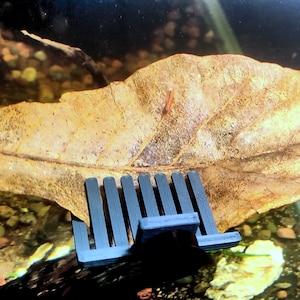 Magnetic aquarium leaf holder for shrimp and betta fish
