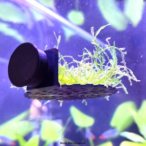 Magnetic Aquarium Moss Ledge Round