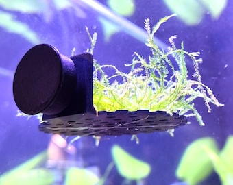 Magnetic Aquarium Moss Ledge Round