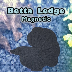 Magnetic betta ledge