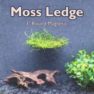 May include: A 3-inch round magnetic moss ledge featuring a circular platform covered in bright green moss, attached to a dark gray textured wall. The text Moss Ledge and 3" Round Magnetic are displayed above the ledge in white font.