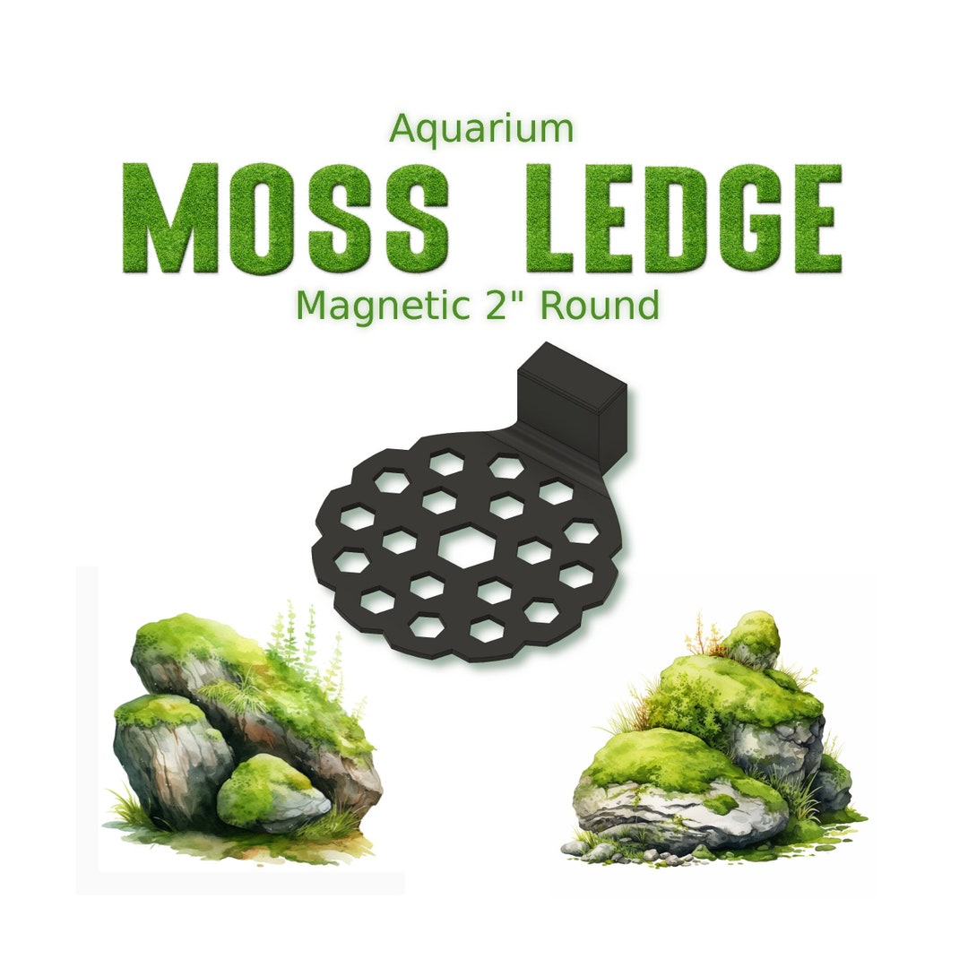 Aquarium Moss Ledge Round Etsy
