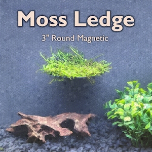 3" Magnetic Moss Ledge for aquariums