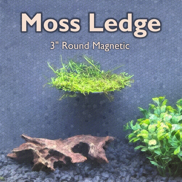 3" Magnetic Moss Ledge for aquariums