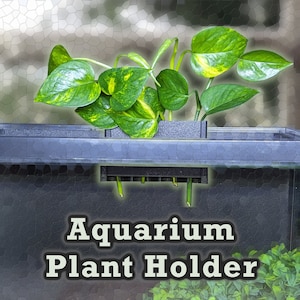 Aqua Pothos aquarium rim plant holder