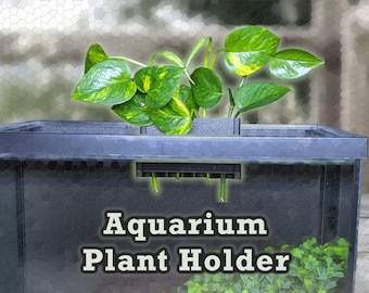 Aqua Pothos aquarium rim plant holder