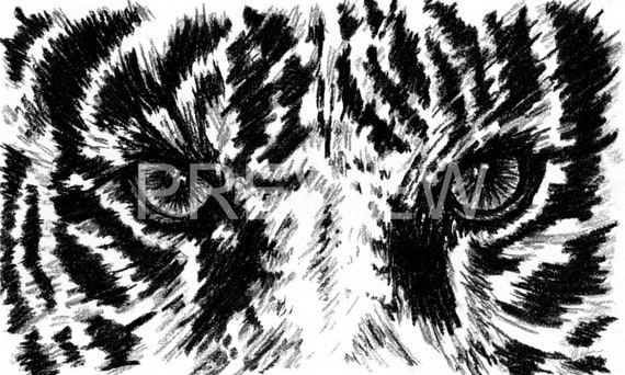 Charcoal Tiger Eyes Print Instant Digital Download Drawings Etsy