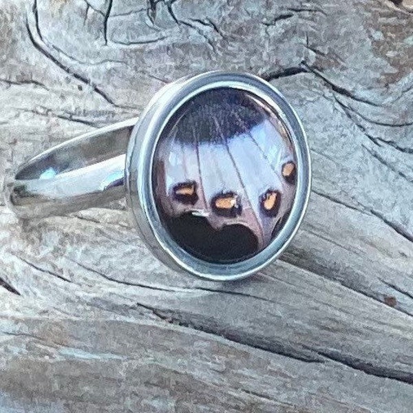 Butterfly wing ring. Stainless steel adjustable ring w replica black, white & orange butterfly wing inlaid in glass. Butterfly gifts.