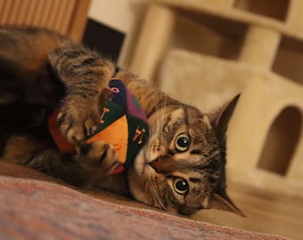 Dice Cat Toy D20