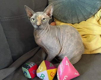 Dice Cat Toy (D4, D6, D8)