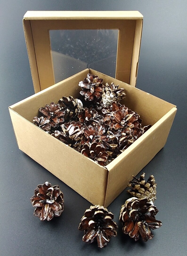 Natural Pine Cone Fire Starters For Fireplace Eco Fire Etsy