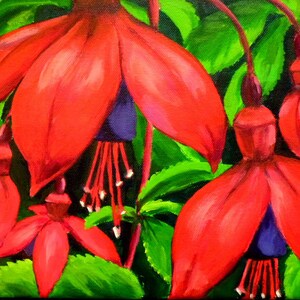 Fucsia, carta irlandese, carte dall'irlanda, pittura a fiori rossi, fiori irlandesi, fiore del paesaggio irlandese, irlanda, carte fatte irlandesi, carte d'arte
