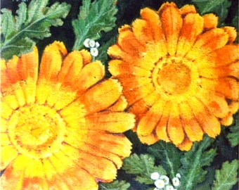 Marigold, cottage flowers, orange flower, floral, gardener gift, gift for gardener, flower print, orange print, cards from ireland