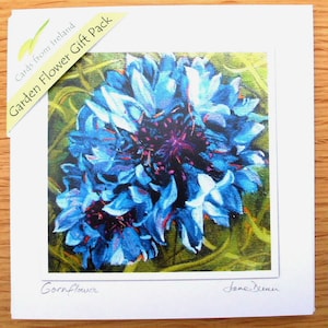 Garden flower card set, marigold, daisy, cornflower, poppy, garden flowers, 4 flower cards, sets to frame, jane dunn artist, AGFPK.03