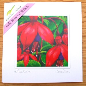 Conjunto de tarjetas de flores silvestres irlandesas, fucsia, algodón de pantano, speedwell, flores silvestres irlandesas, 4 flower cards, conjuntos de arte, jane dunn artista WFPK.01