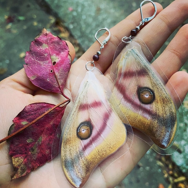 Moth Earrings • Ethically Soured • Antherina suraka pink bullseye Saturn moth male Madagascar