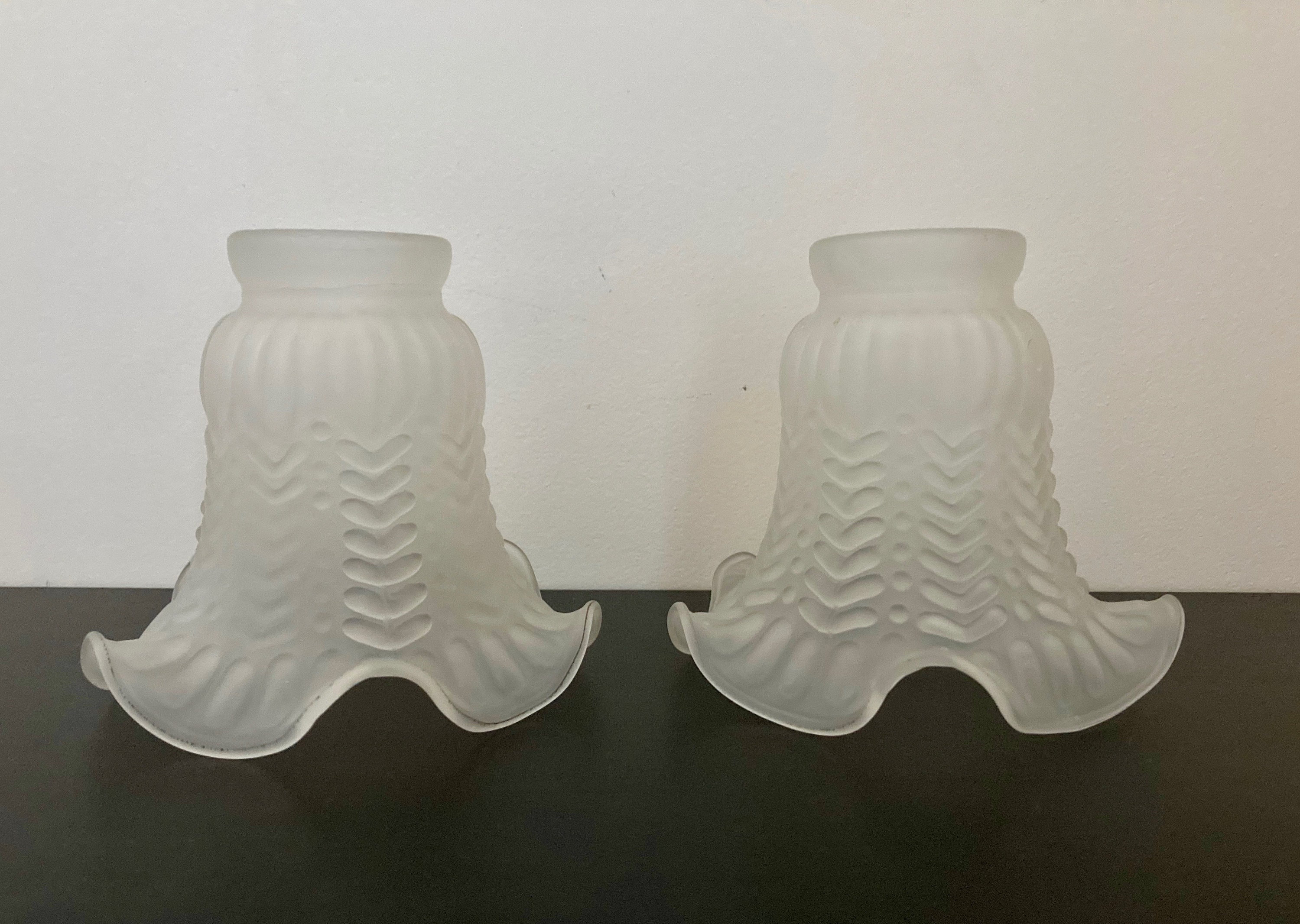 Tulip 2024 glass shade