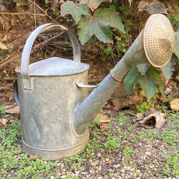 Arrosoir zinc avec poire ancien French antique zinc watering can