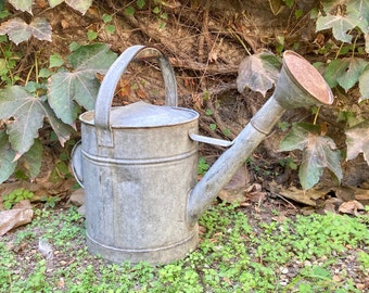 Arrosoir zinc avec poire ancien French antique zinc watering can