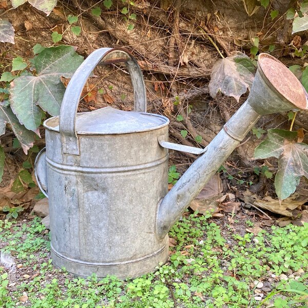 Arrosoir zinc avec poire ancien French antique zinc watering can