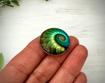 May include: A circular cabochon featuring a vibrant spiral pattern in shades of deep blue, emerald green, and golden yellow. The design mimics the natural curve of a nautilus shell, encased in a smooth, polished silver-toned metal frame.