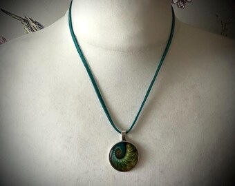 Collier Pendentif Ammonite Naturelle Unique - Fossile Authentique - Cordon Noir & Acier Inoxydable - Bijou Mixte
