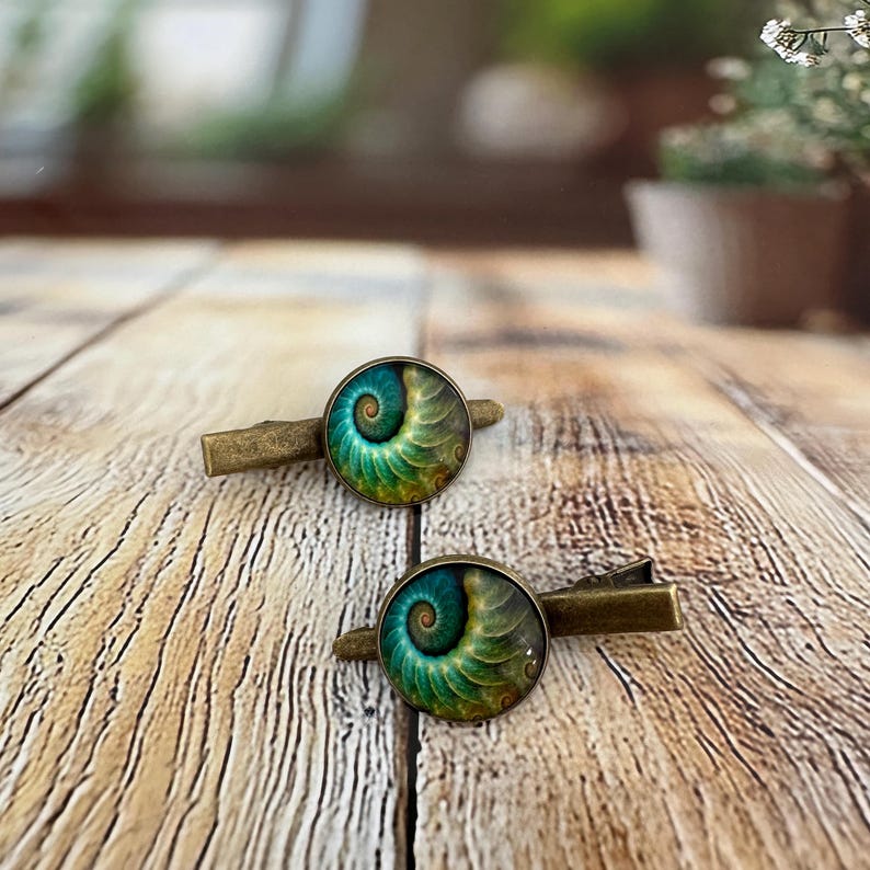 May include: Two bronze-toned hair clips. Each clip features a round, glass-covered design with a spiral pattern in shades of teal, green, and gold. The clips are set against a wooden background.