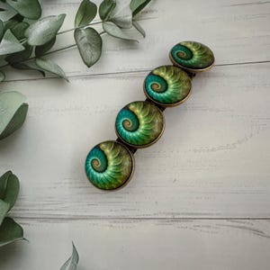 Thick hair barrette, Ammonite fossil or Peacock feather hair clip, Secure strong hair clasp,