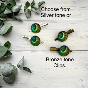 May include: Four hair clips with a spiral design in shades of green and teal. Two clips have silver-tone hardware, and two have bronze-tone hardware. The text reads "Choose from Silver tone or Bronze tone Clips."