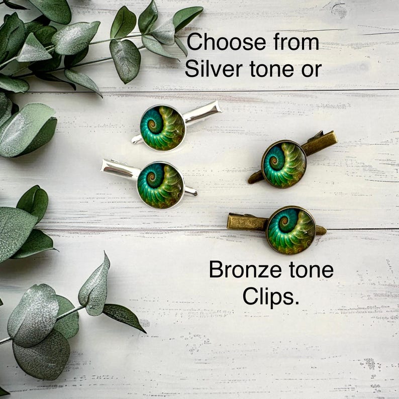 May include: Four hair clips with a spiral design in shades of green and teal. Two clips have silver-tone hardware, and two have bronze-tone hardware. The text reads "Choose from Silver tone or Bronze tone Clips."
