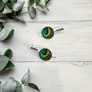 May include: Two silver hair clips with a round, colorful design featuring a spiral pattern in shades of green, yellow, and blue. The clips are set against a white wooden background with green foliage.